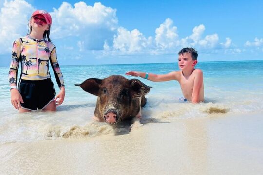 Swimming Pigs- Rose Island, Half Day with Snorkeling