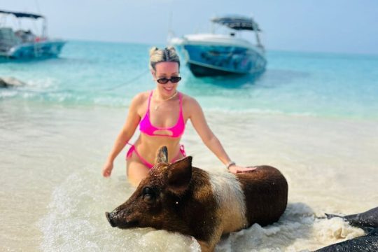 Swimming Pigs- Rose Island, Half Day with Snorkeling