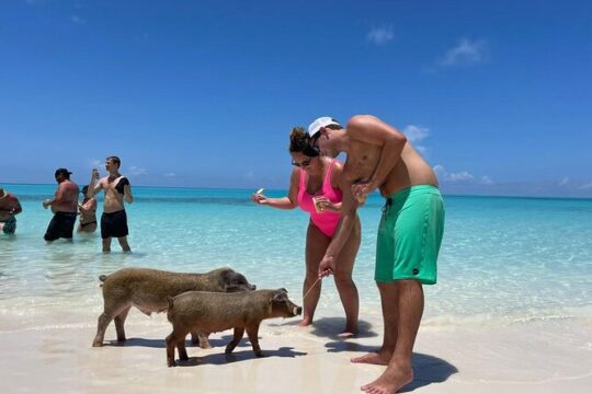 Island Adventure Guided Tour in Bahamas