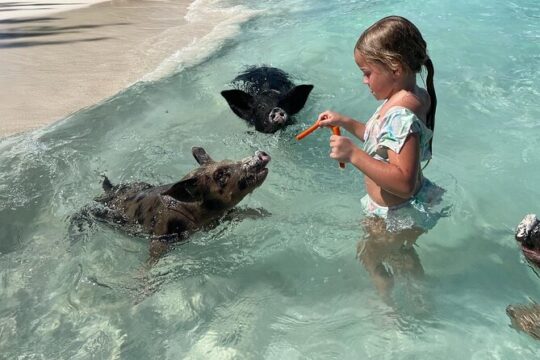 Swimming Pigs And Turtles Ultimate Excursion on 3 Islands by Boat