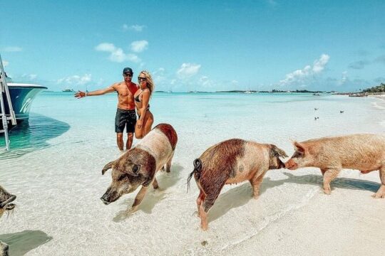 Swimming Pigs Full Day Exuma Boat Tour