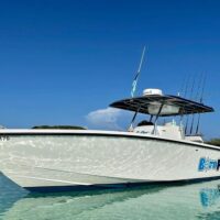 Fishing Charters & Tours