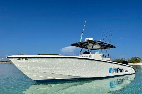 Private Speedboat Adventure for Snorkeling or Fishing in Nassau - 34ft boat