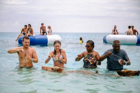 Rose Island Swimming Pigs Private Tour