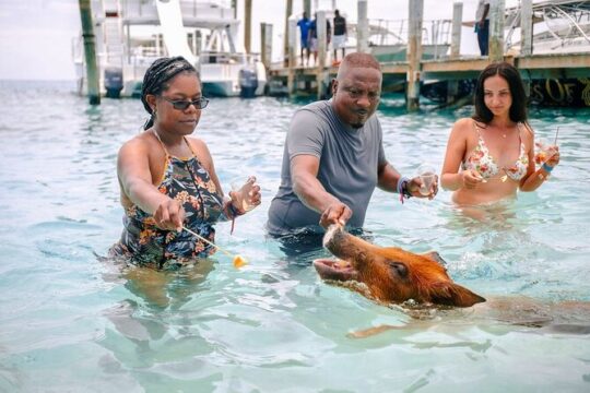 Swimming Pigs Water Taxi Nassau, Bahamas