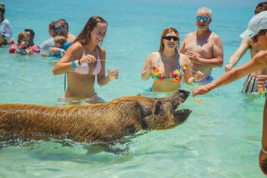 Guided All Inclusive Beach Day Excursion in Bahamas