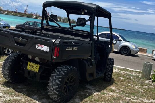 Buggy Rental (with Drop-off, Pick-up around New Providence)